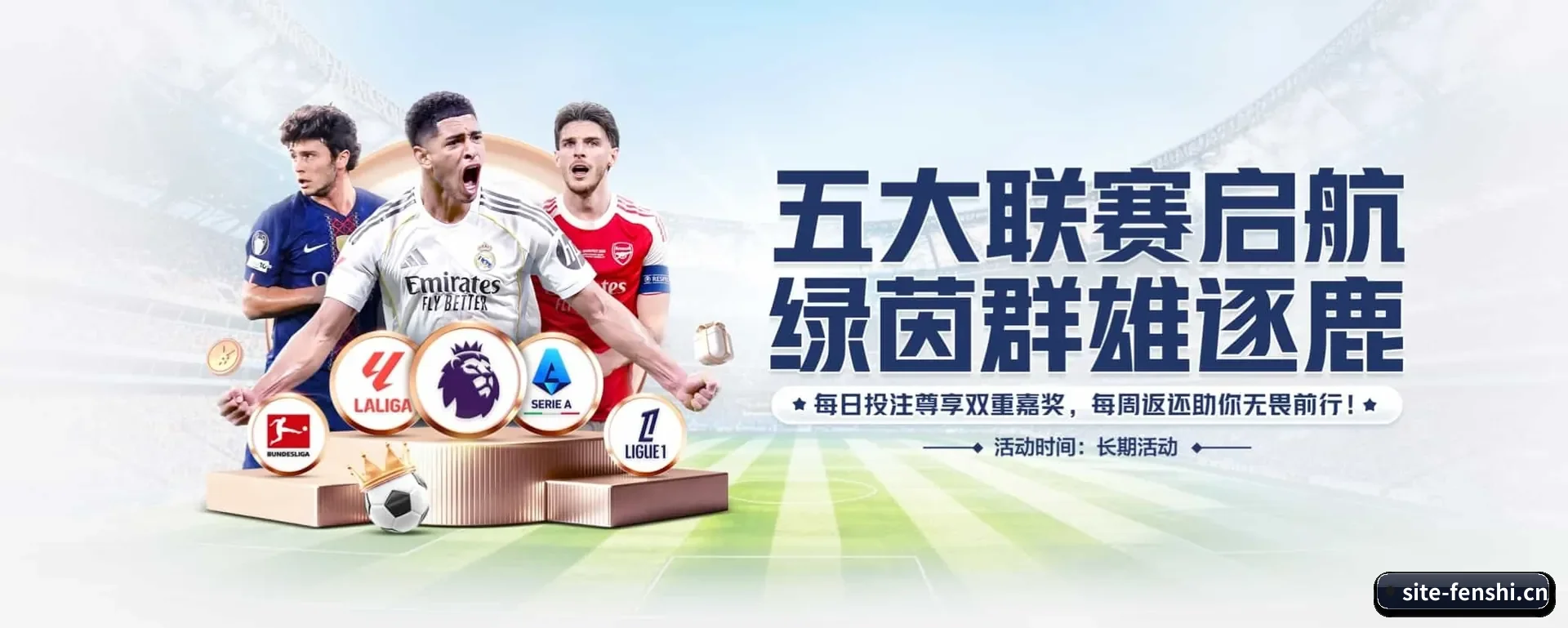 分势体育（FENSHI SPORTS）官方网站的来历 - 体育资讯内容服务
